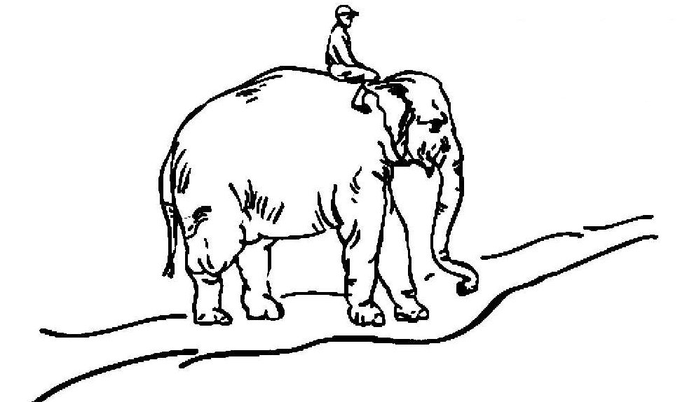 Слон и всадник